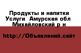 Продукты и напитки Услуги. Амурская обл.,Михайловский р-н